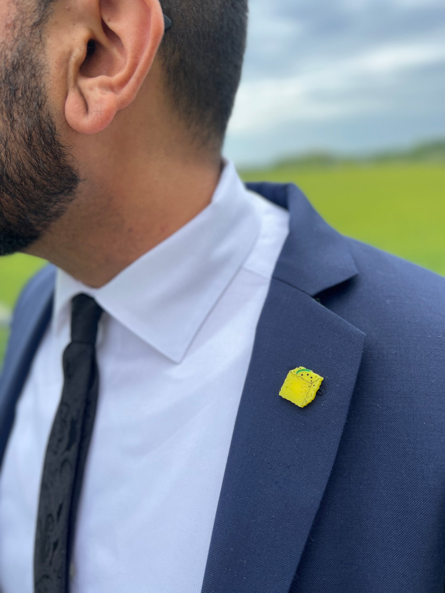 Desi Khana Pins